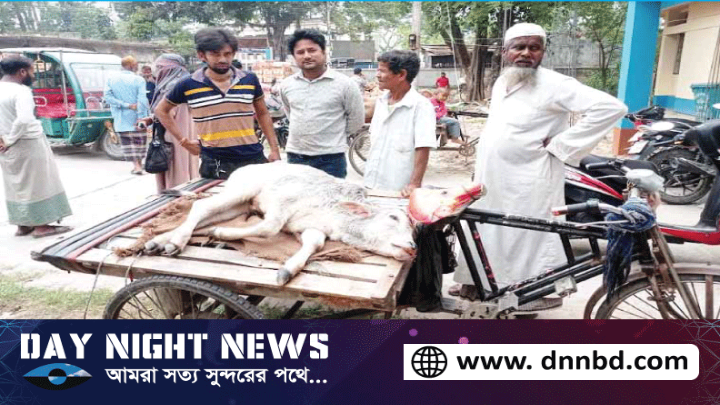 ঈদের আগে ফুলবাড়ীতে লাম্পি স্কিন রোগের হানাগৃহস্থসহ খামারীর কপালে দুশ্চিন্তার ভাঁজ